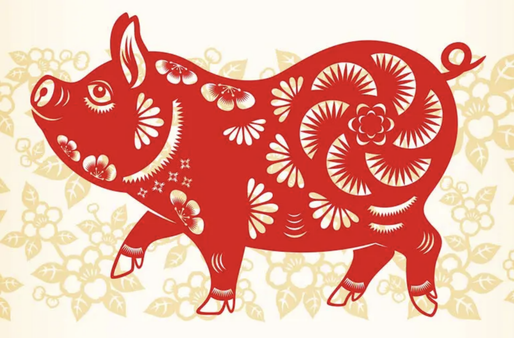 Chinees jaar van het varken